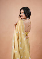 Sky Blue Organza Saree with Heart Print & Stone Work Border