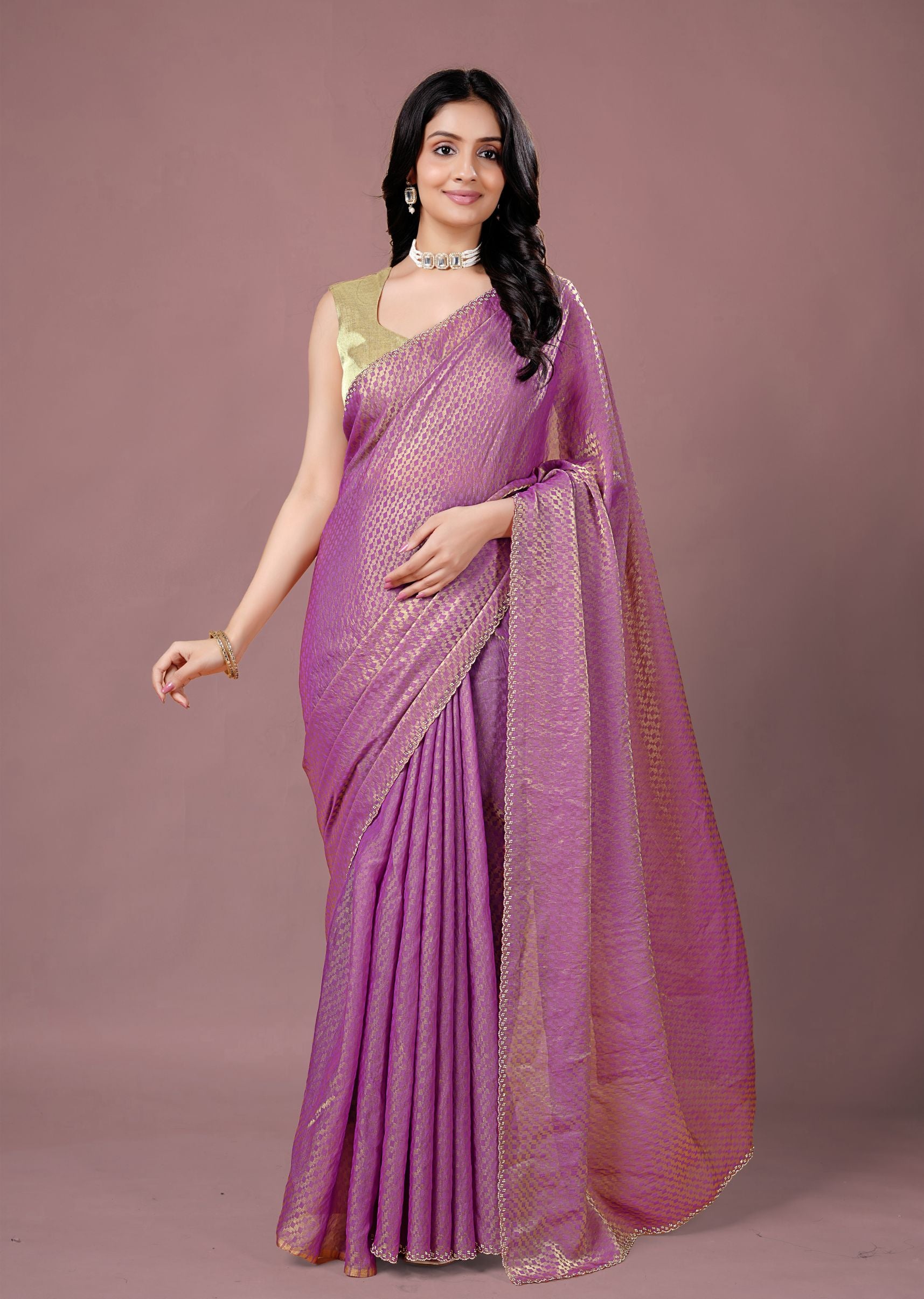 Sky Blue Organza Printed Saree with Stone Work Border Detailing