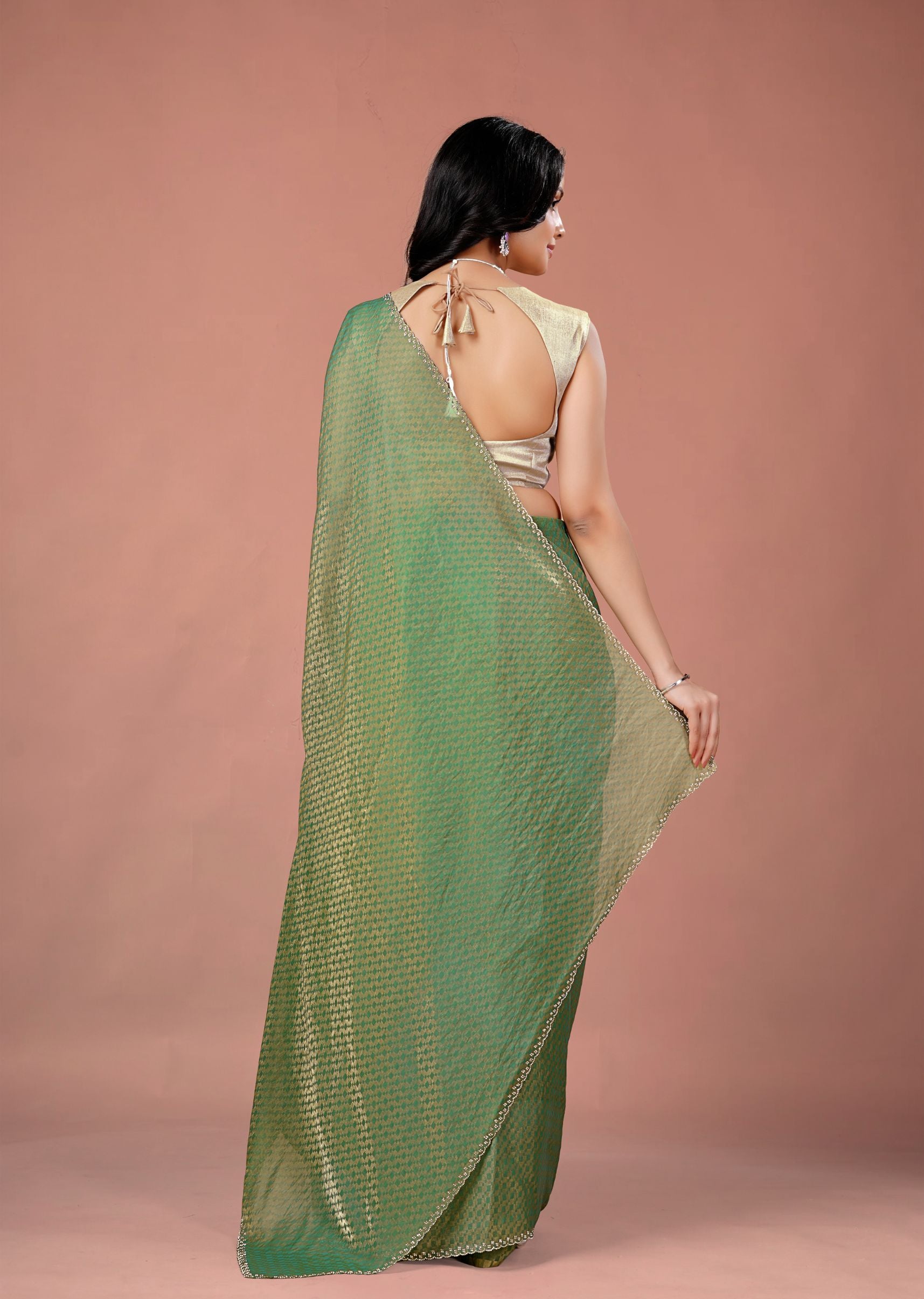 Sky Blue Organza Printed Saree with Stone Work Border Detailing