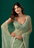 Pista Green Chiffon Saree With Floral Embroidery