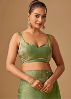Olive Green Tissue Silk Saree Draped Look - Stone Embroidery Design