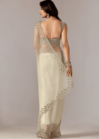 Pista Green Tissue Saree With Stone Embroidery