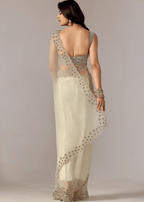 Pista Green Tissue Saree Back Pose - Stone Embroidery Detail