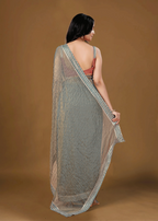 Sky Blue Organza Saree Back Pose - Stone Work Detail