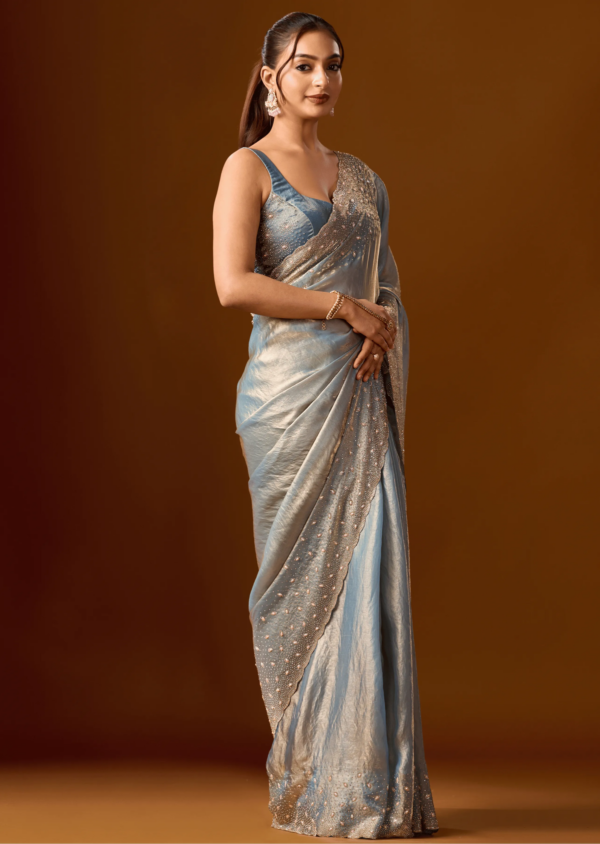Sky Blue Tissue Silk Saree Back Pose - Stone Work Detail