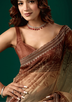 Coffee Brown Organza Saree Blouse Close Up - Embellished Border Detail