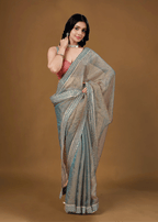 Sky Blue Organza Saree With Stone Work