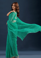 Teal Green Chiffon Saree Close Up Pose - Traditional Wear Saree