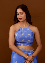 Sky Blue Organza Silk Saree Standing Look - Festive Wear Saree