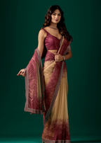 Maroon Organza Saree Standing Look - Party Wear Saree