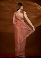 Peach Orange Tissue Saree Draped Look - Scalloped Zari Border Detail