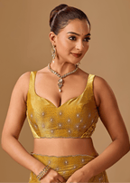 Golden Mustard Tissue Silk Saree With Crystal Stone Border