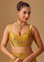 Golden Mustard Tissue Silk Saree With Crystal Stone Border