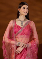 Pink Tissue Saree Styled Look - Sequin Motif Detail