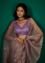 Purple Crushed Organza Saree Diamond Border - Close Up Pose