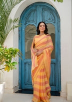 Orange Organza Saree Draped Pose - Multicolour Stripes Detail