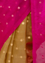 Pista Pink Organza Silk Saree Pallu Close Up - Golden Drape Detail