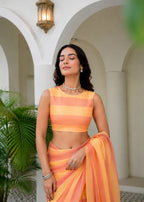 Orange Organza Saree Front Pose - Festive Wear Saree