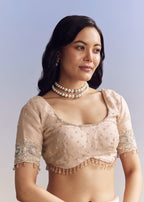 Baby Pink Organza Saree With Chikankari Threadwork And Beaded Embroidery