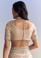 Baby Pink Organza Saree With Chikankari Threadwork And Beaded Embroidery