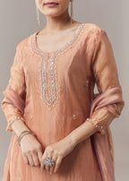 Brown Pakistani Style Palazzo Suit With Pastel Embroidery And Dupatta