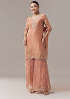 Brown Pakistani Style Palazzo Suit With Pastel Embroidery And Dupatta