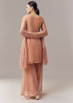 Brown Pakistani Style Palazzo Suit With Pastel Embroidery And Dupatta