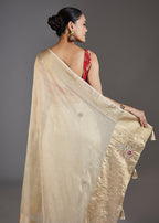 Ivory Tissue Embroidered Saree