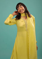 Lime Yellow Bemberg Silk A Line Suit In Organza
