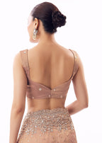 Pink Tissue Saree With Heavy Sequin And Cutdana Embroidered Border