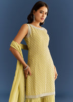 Light Lime Green Organza Kurta Set With Embroidered Scallop Hem Dupatta